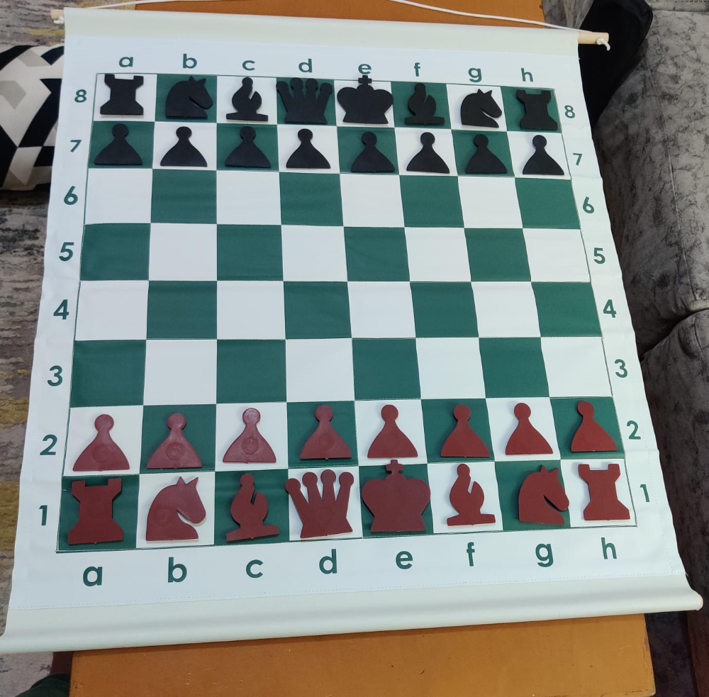Magnetic Chess Demonstration Set